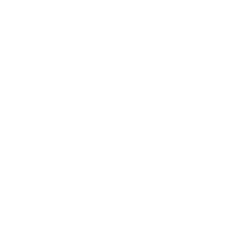 Поисковое движение России
